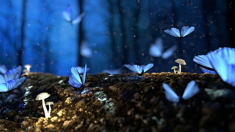 Enchanted Sword
