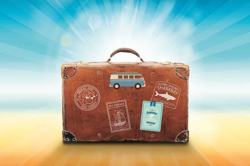 Luxury Travel Luggage