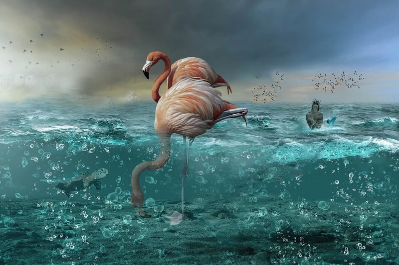 Merfolk City